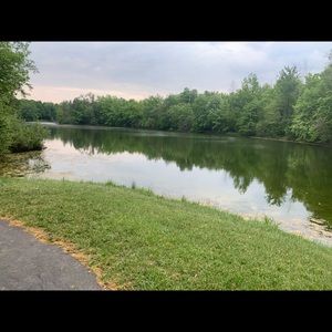 Meet your Posher, Miranda